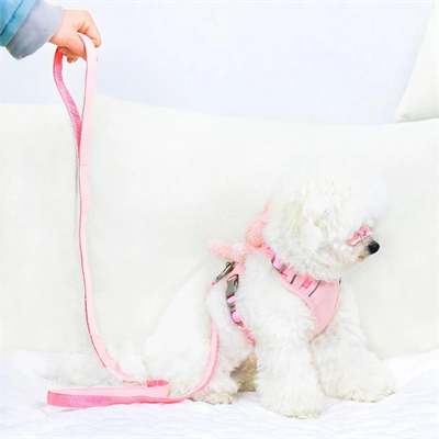 Evcil Hayvan Peluş Ayıcıklı Göğüs Gezdirme Tasması Set