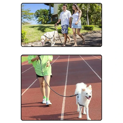 Evcil Hayvan Reflektörlü Fitil Gezdirme Tasması 8 mm x 120 cm