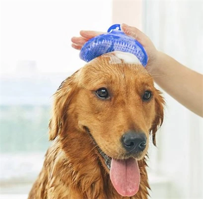 Evcil Hayvan Silikon Tüy Toplama Yıkama Fırçası