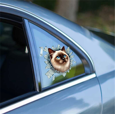 Fulcar Siamesse Araç Stickerı