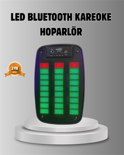 GTS 1793 Işıklı 6.5 İnç Kablosuz Hoparlör Bluetooth, USB ve FM Özellikli