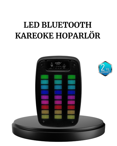 GTS 1793 Kablosuz Bluetooth Hoparlör 6.5 İnç Işıklı ve Güçlü Bass