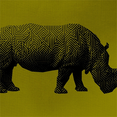 Gergedan , Hipopotam Soyut Çalışma Kanvas Tablo 50 x 70