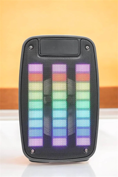 Kablosuz Bluetooth Hoparlör Taşınabilir 6.5 inç LED Işık Kareoke