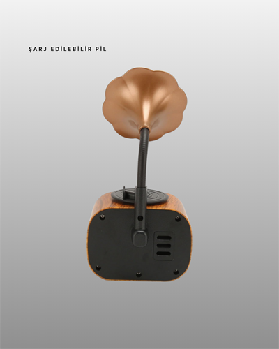 Kablosuz Retro Radyo Hoparlör 5W Güçlü Ses USB Hafıza Kart Destekli