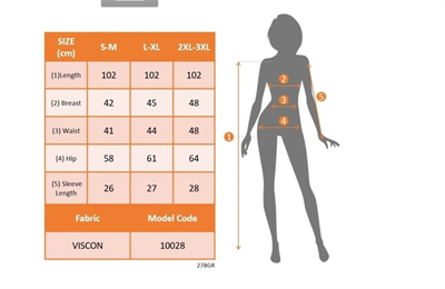 Kadın Kısa Dantel Kollu V Yakalı Midi Viskon Elbise