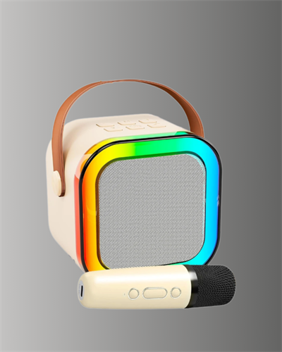 Karaoke Mikrofon Hoparlör Seti Bluetooth Kablosuz Taşınabilir