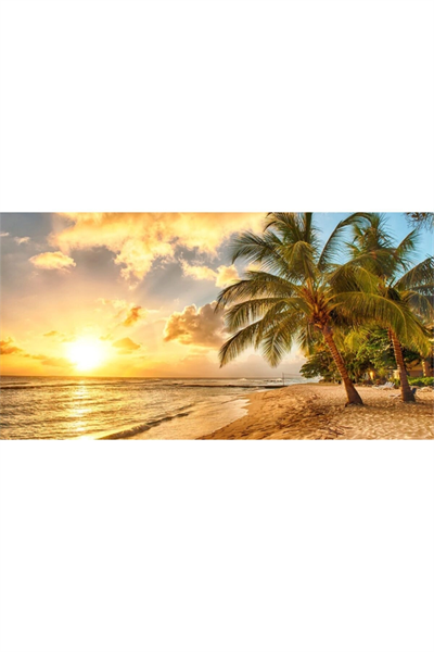 Kayıp Ada Canvas Tablo (60x120)