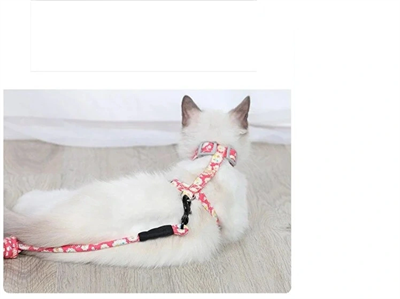 Kedi Gezdirme Göğüs Tasması