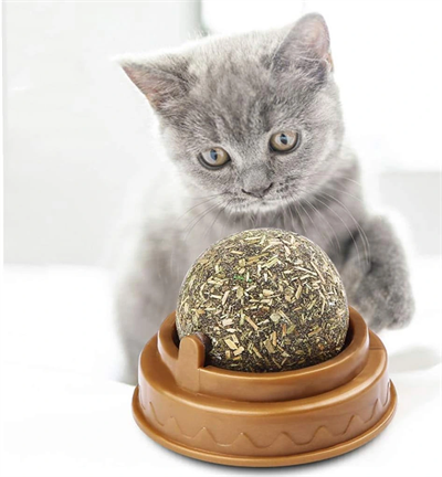 Kedi Nanesi Oyun Topu