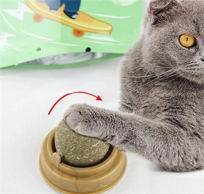 Kedi Otu Oyun Topu