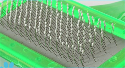 Kedi Tüy Toplayıcı Fırça 4 Renk