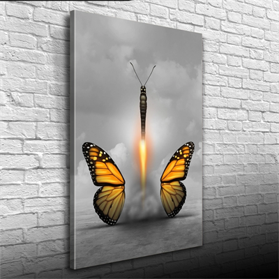 Kelebek Görselli Soyut Çalışma Kanvas Tablo 50 x 70