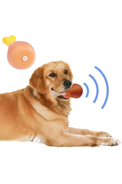 Köpekler İçin Sesli Oyuncak Tavuk Butu