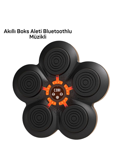 MÜZİK BOX MAKİNESİ