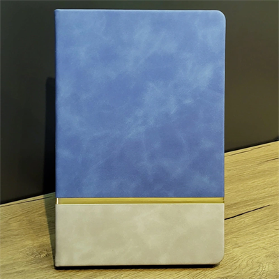 Mavi Gold Detaylı Deri Hatıra Defteri