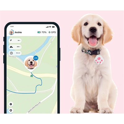 Mobil Uygulamalı Evcil Hayvan Takip Cihazı