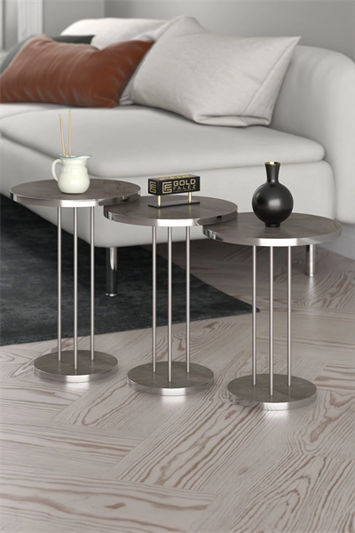 ORTA SEHPA VE ZİGON SEHPA TERRA GÜMÜŞ GORDİON