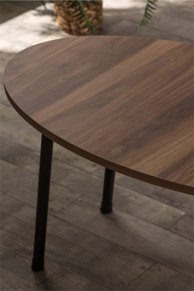 Orta Sehpa Metal  Ayak Elips Ceviz