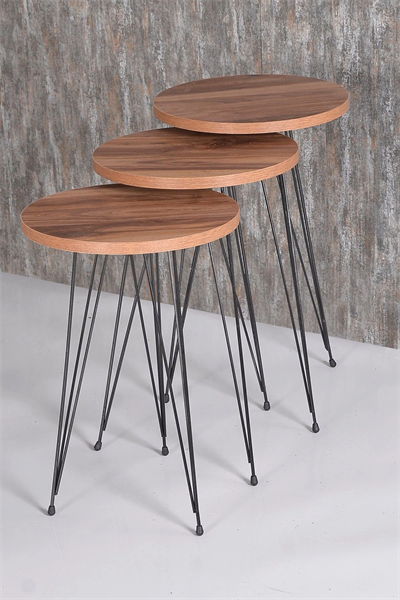 Orta Sehpa Ve Zigon Sehpa Ceviz Set Tel Ayak Elips