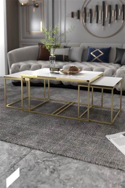 Orta Sehpa Ve Zigon Yan Sehpa Flora Set Gold Beyaz