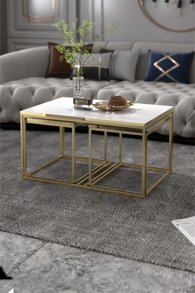 Orta Sehpa Ve Zigon Yan Sehpa Flora Set Gold Beyaz