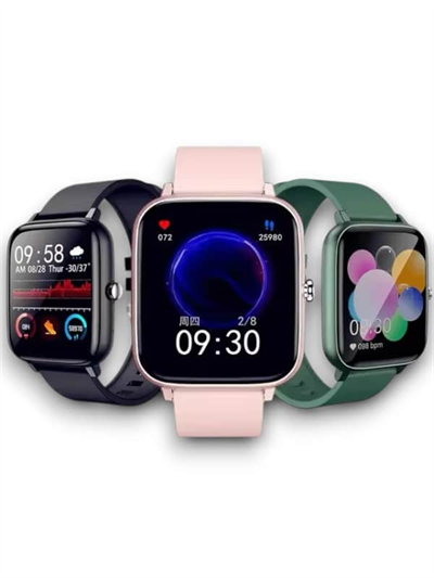 P6 MODEL AKILLI SAAT