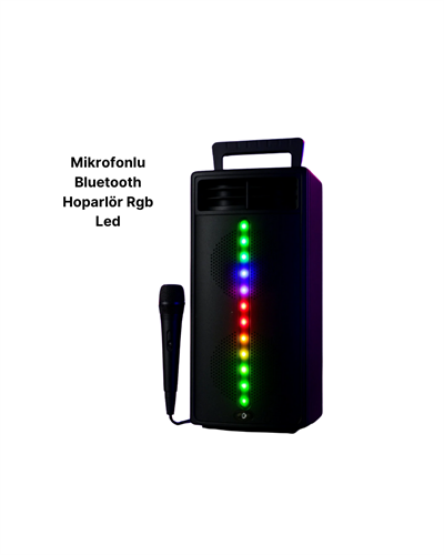 PG4266 Kablosuz Hoparlör