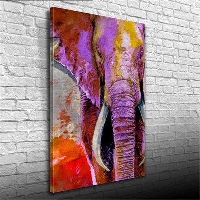 Pastel Renklerde Dekoratif Fil Görseli Kanvas Tablo 50 x 70