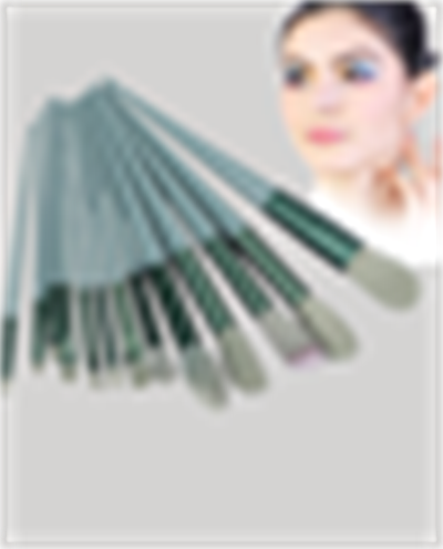 Profesyonel Kullanıma Uygun 13 Parça Makyaj Fırçası Takımı Fiber Kıllı