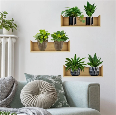 Raflı Bitki Tasarımlı Yapışkanlı Sticker 20*30 cm 3lü Set