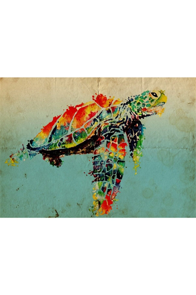 Renkli Kaplumbağa Canvas Tablo (50x70)