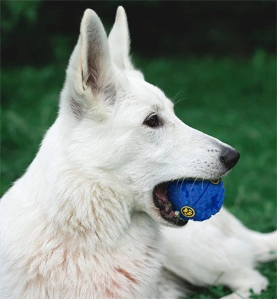 SESLI MAMA OYUN TOPU
