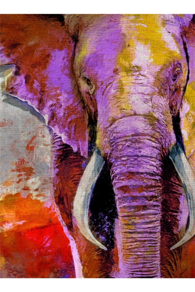 Safari Canvas Tablo (50x70)