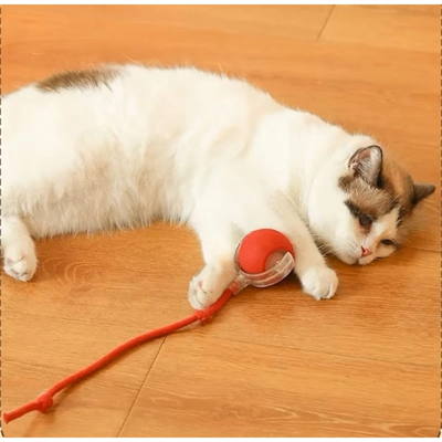 Şarjlı Kedi Oyuncağı