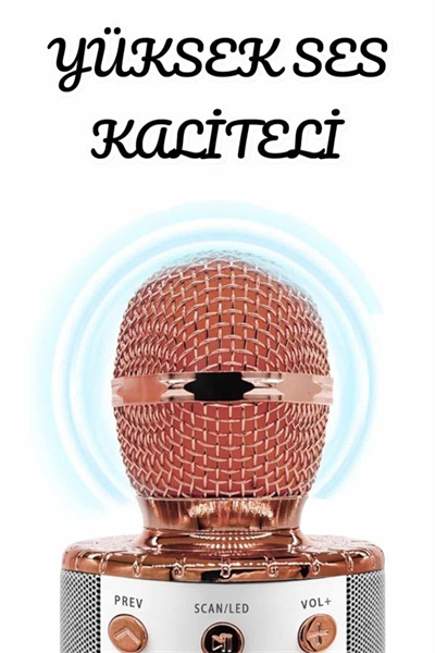 Şarjlı ve Uzun Pil Ömürlü Karaoke Mikrofon USB Bellek Destekli, Profesyonel Ses