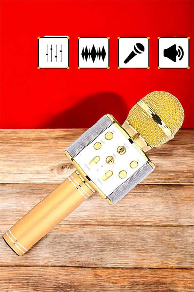 Şarjlı ve Uzun Pil Ömürlü Karaoke Mikrofon USB Bellek Destekli, Profesyonel Ses