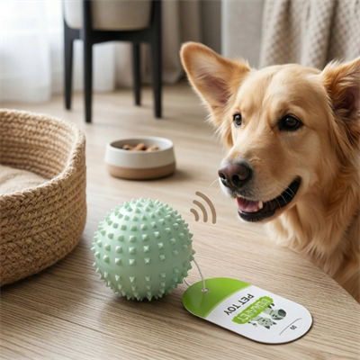 Sesli Dikenli Evcil Hayvan Oyuncak Topu