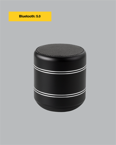 Silindir Tasarım Mini Bluetooth Hoparlör 10m Çekim Güçlü Bas ve Mikrofonlu