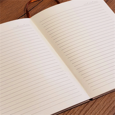 Somon Rengi Desenli Deri Defter