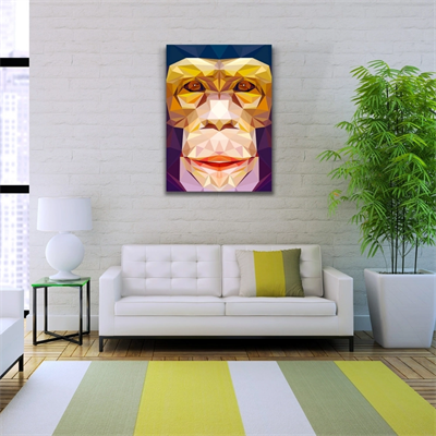 Soyut Maymun Figürü Kanvas Tablo 50 x 70