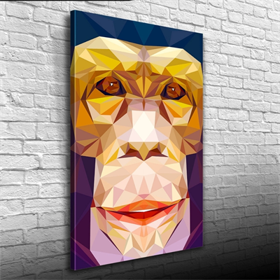 Soyut Maymun Figürü Kanvas Tablo 50 x 70