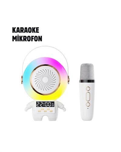 TK-66 KARAOKE SPEAKER