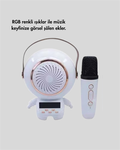 TK-66 KARAOKE SPEAKER