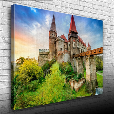 Tarihi Şato Kanvas Tablo 50 x 70