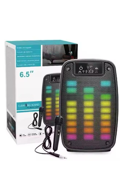 Taşınabilir 6.5 inç LED Bluetooth Kareoke Hoparlör RGB Işıklı Radyolu