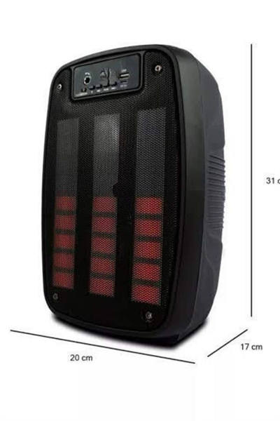 Taşınabilir 6.5 inç LED Bluetooth Kareoke Hoparlör RGB Işıklı Radyolu