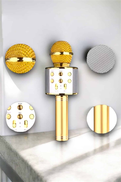 Taşınabilir Bluetooth Karaoke Mikrofon: Hafıza Kart Girişli, Etkileyici Performans