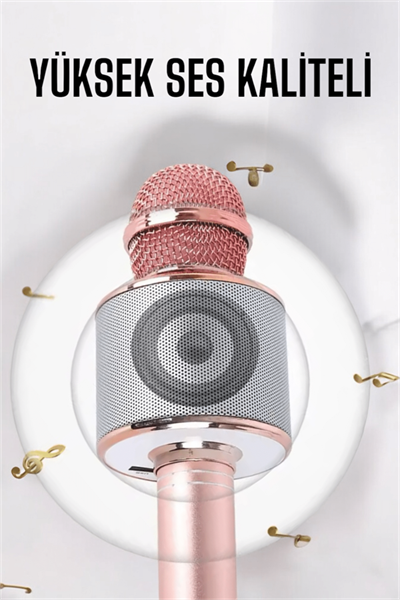 Taşınabilir Bluetooth Karaoke Mikrofon: Hafıza Kart Girişli, Etkileyici Performans