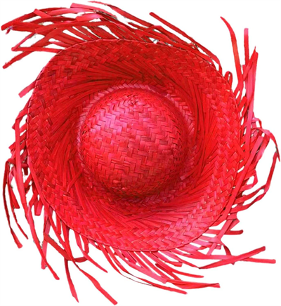 Tropikal Parti Kırmızı Hasır Hawaii Şapkası